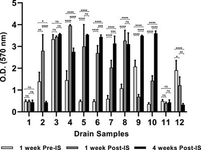 Impact of intense sanitization on environmental biofilm communities and the survival of Salmonella enterica at a beef processing plant